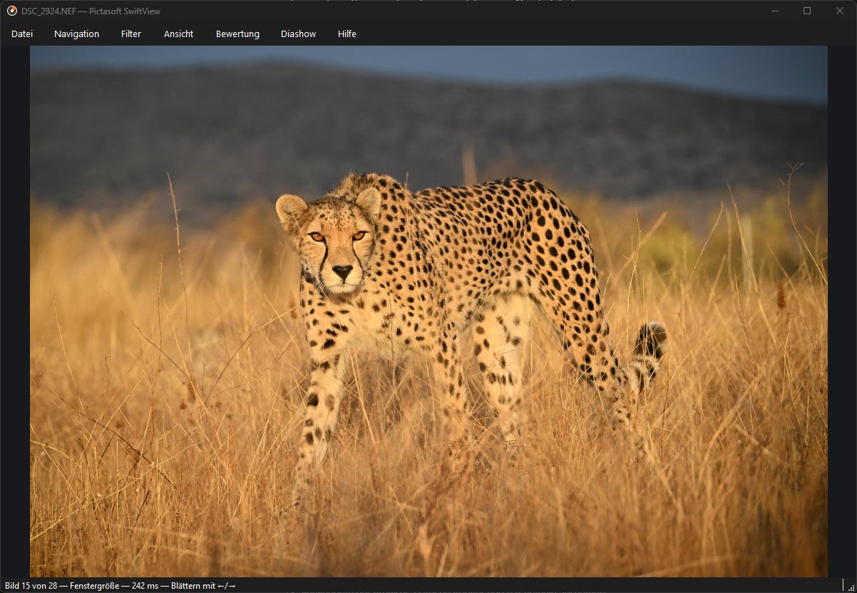 Pictasoft SwiftView zeigt eine RAW-Aufnahme eines Geparden im hohen Gras, mit Menüleiste und Statuszeile